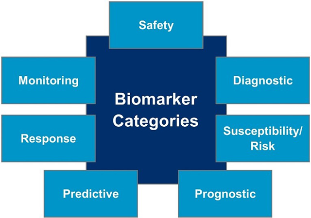 The role of biomarkers throughout the drug development life cycle