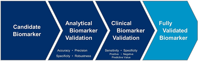The US FDA’s biomarker qualification process for drug development